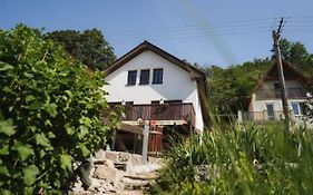Penzion Šedivý